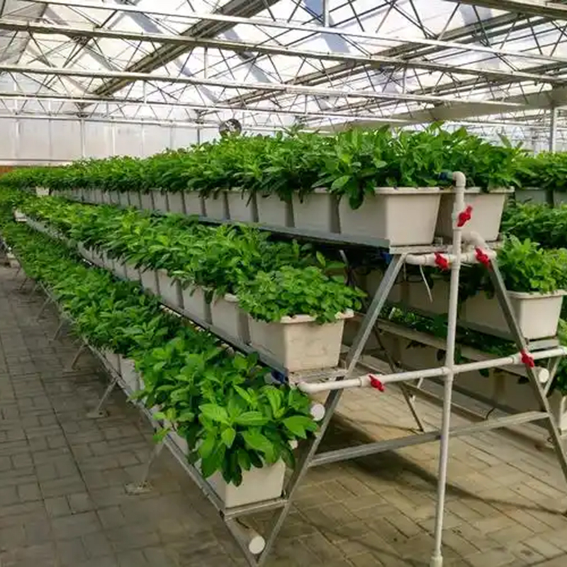 天津市植物工厂气雾培 - 推荐